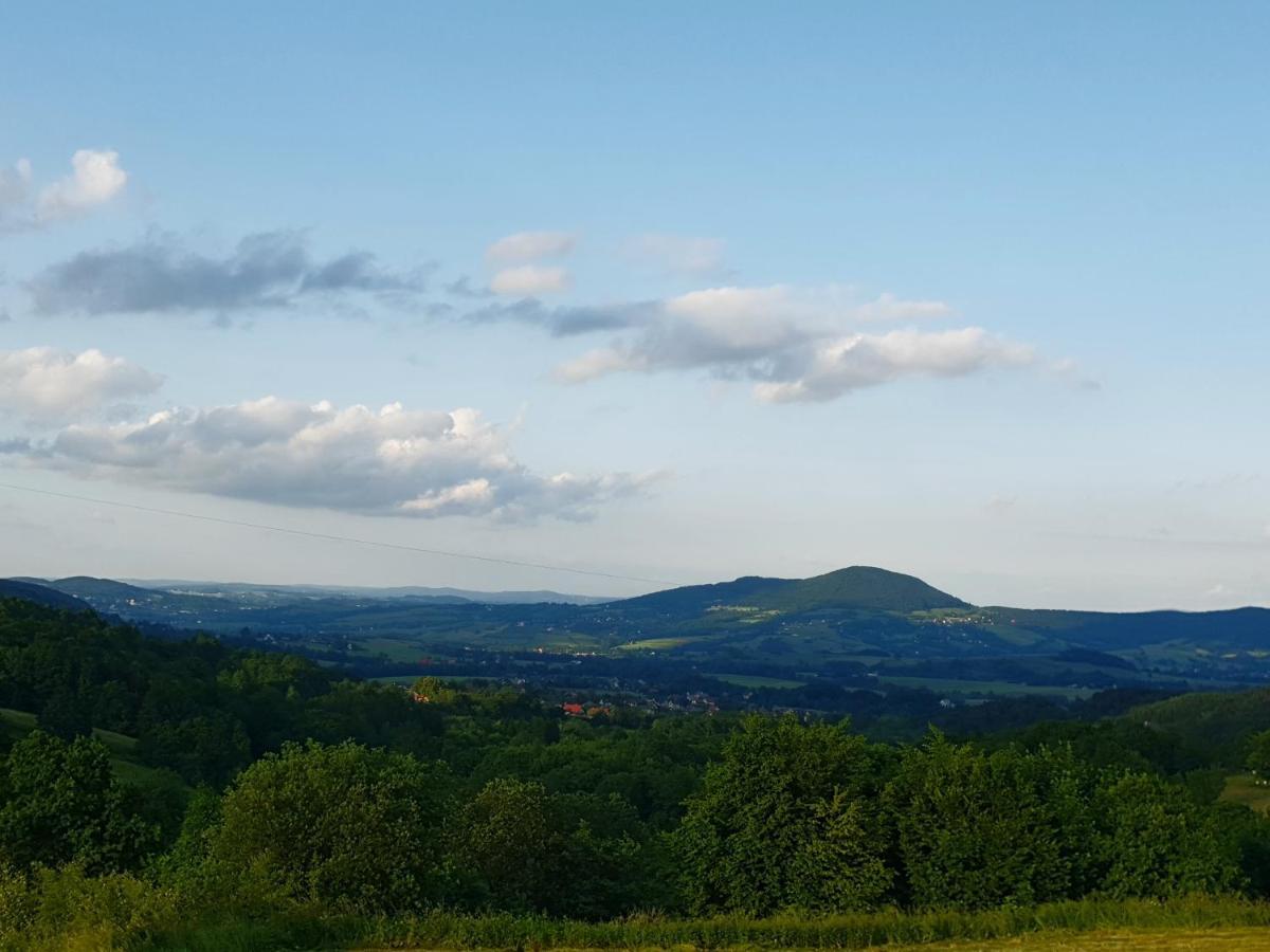 Вилла Zasankowe Wzgorze Экстерьер фото