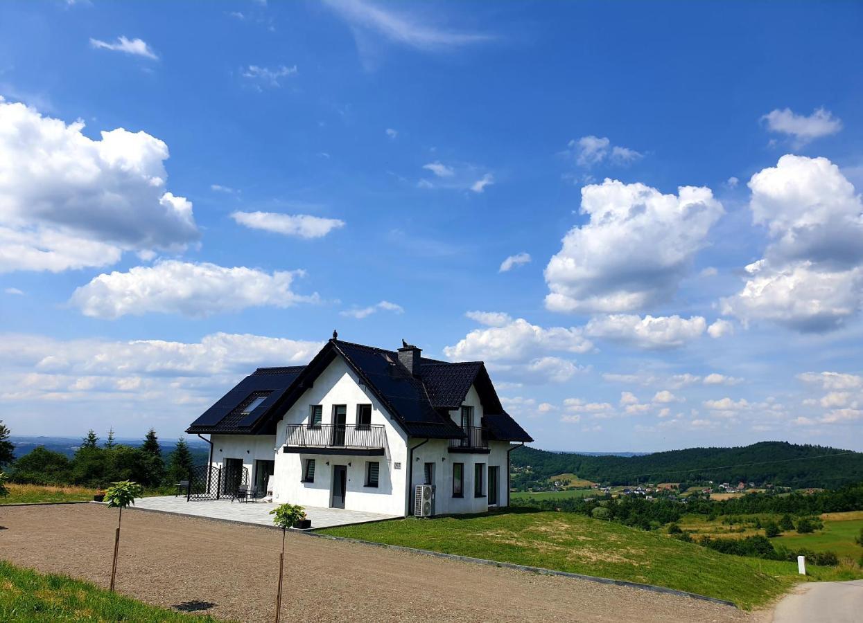 Вилла Zasankowe Wzgorze Экстерьер фото