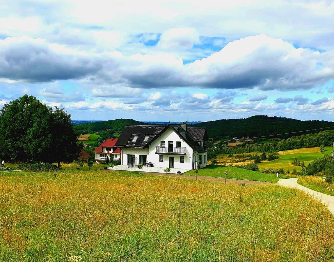 Вилла Zasankowe Wzgorze Экстерьер фото